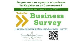 business survey