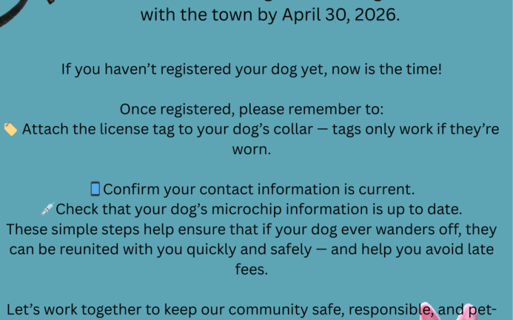 April Dog Licensing Reminder